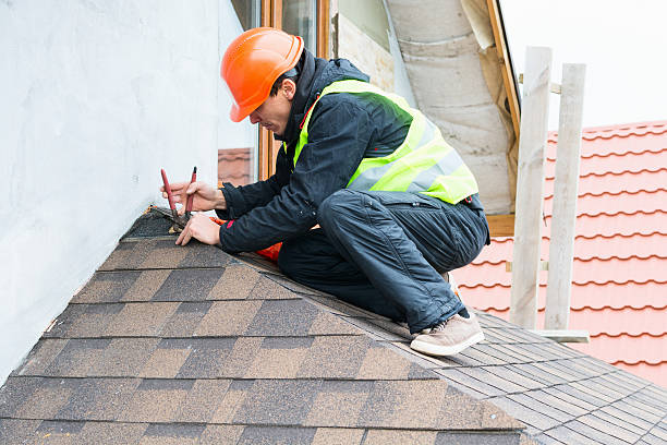 Best Roof Gutter Cleaning  in Flanders, NJ